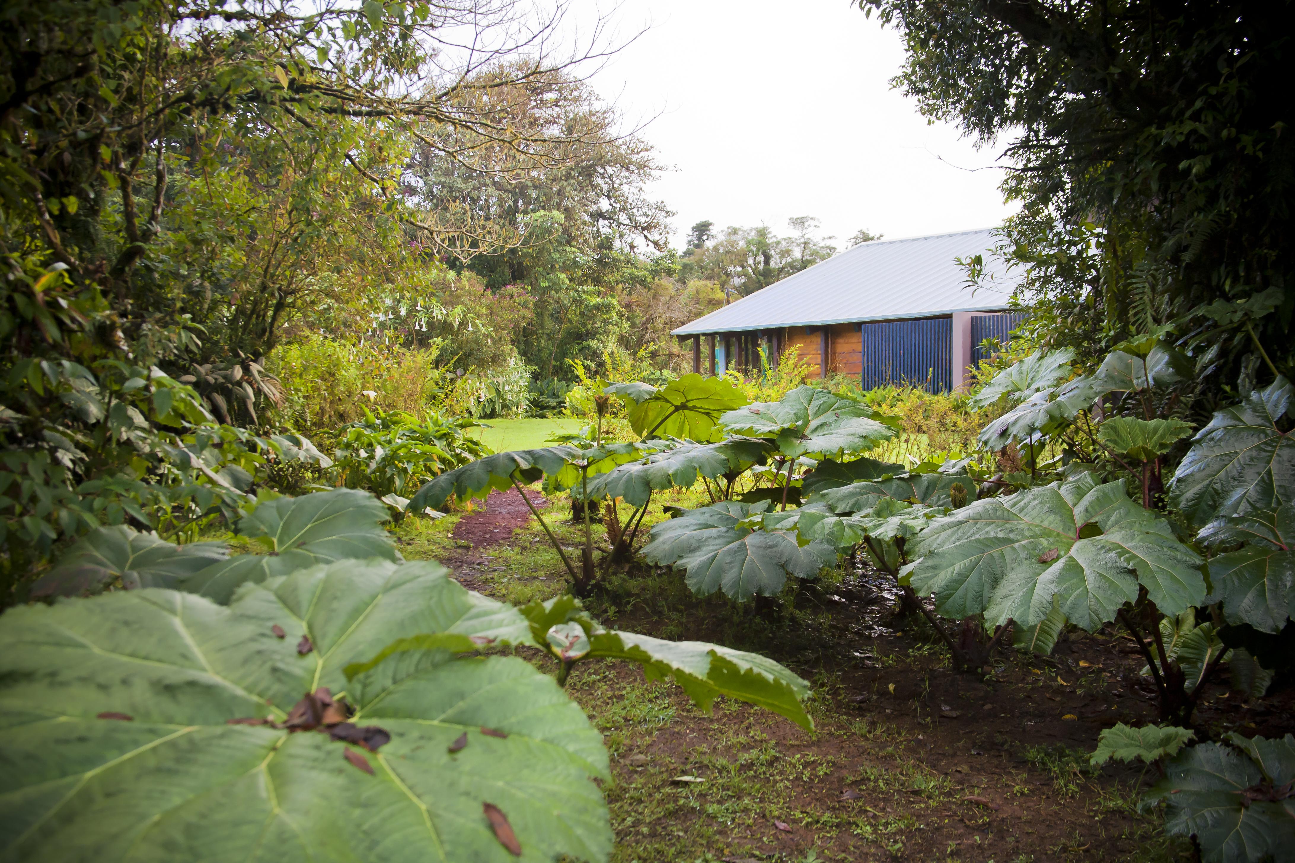 Poas Volcano Lodge Vara Blanca (Heredia) Exterior foto